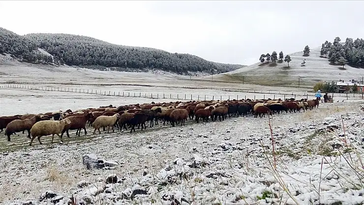 Kars'ta mevsimin ilk karı yağdı