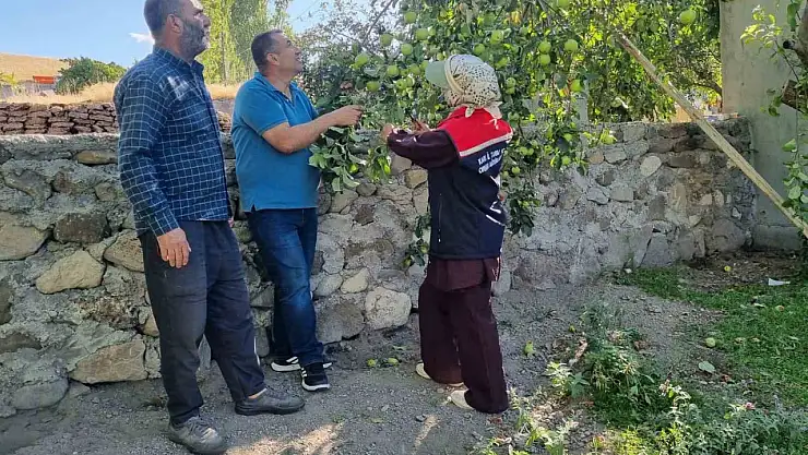 Kars'ta Meyve Ağaçlarına Aşılama Uygulaması Başladı