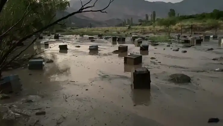 Kars'ta sağanak yağış sel felaketi oluşturdu, arı kovanları sürüklendi!