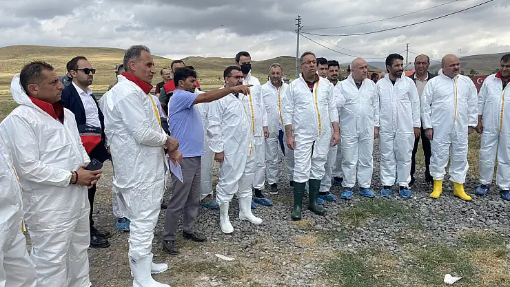 Kars'ta Şap Hastalığına Karşı Yeni Mücadele ve Aşılamalar Başlatıldı