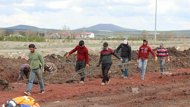 Kars'ta Sokak Hayvanları İçin Doğal Yaşam Alanı Kuruluyor