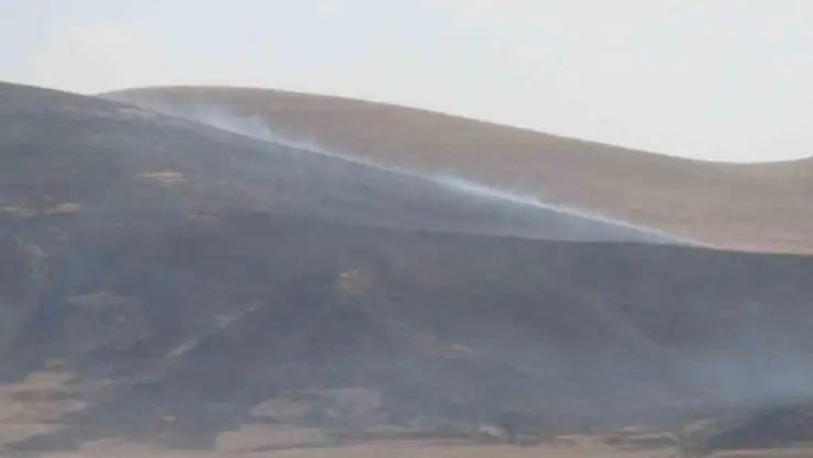 Kars'ta Tarım Arazilerinde Büyüyen Anız Yangını Zarar Verdi