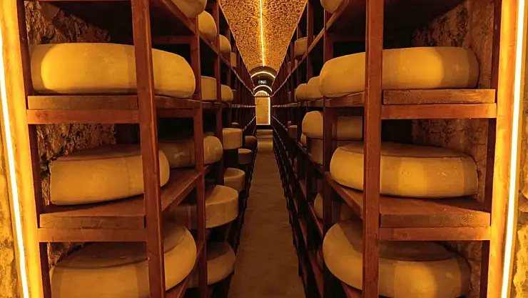 Kars'taki Peynir Müzesi, 2025'te 82 bin ziyaretçi ile turizmin gözdesi oldu