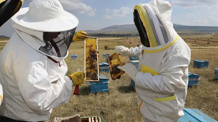 Kars Valisi Polat, Kars'ta organik bal üreticilerini ziyaret etti