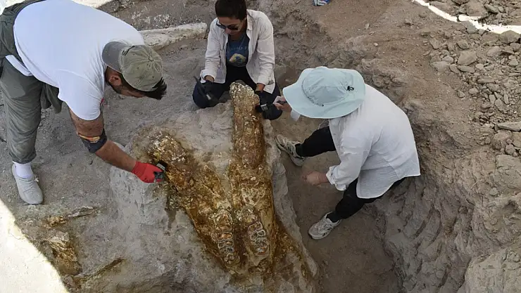 Kayseri'de gerçekleştirilen kazılarda 7,7 milyon yıl öncesine ait 3 adet fil kafatası keşfedildi!