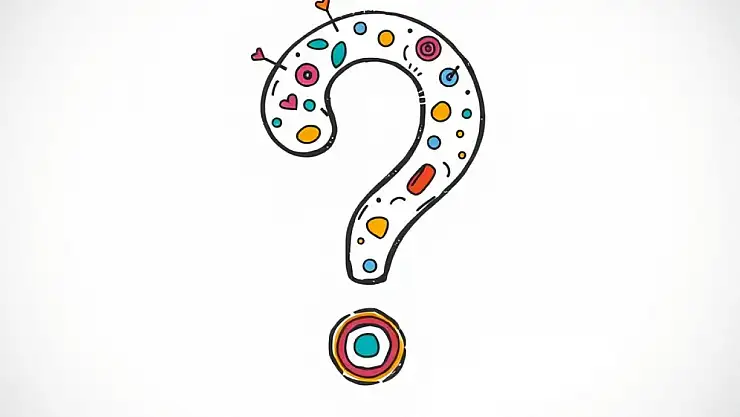 Kazanç kategorisi 14 ne demek? SGK