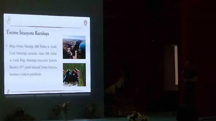 Kelaynak Kuşlarının Üretim Süreci Gözden Geçirildi