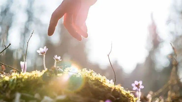 Kendinizi Asla Bırakmamanız İçin 4 Geçerli Sebep