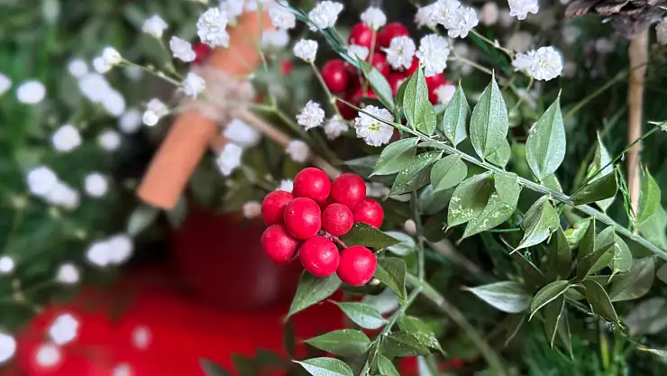 'Kokina' çiçeği Ağrı'da tezgahları süsledi