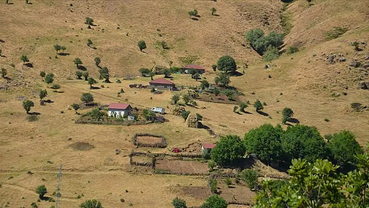 Kulp'tan Yamaç Köyü Şenyayla Bölgesine Geri Dönüşler ve Altyapı Çalışmaları Hızlandı