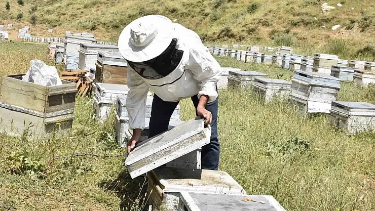 Kuraklık, Bitlis'teki Arıcıların Geleceği Hakkında Endişeleri Artırıyor