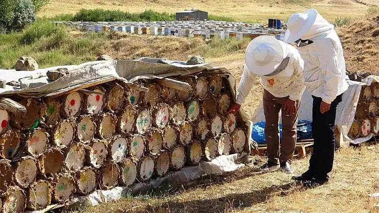 Küresel Isınma Arıcıları Endişelendiriyor