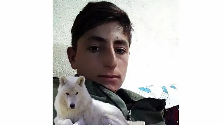 Malazgirt'te hasat sırasında traktöre kapılan genç hayatını kaybetti