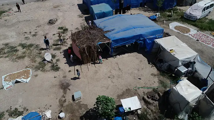MEB'den mevsimlik tarım işçileri ve yarı göçer ailelerin çocukları için yeni eğitim adımları