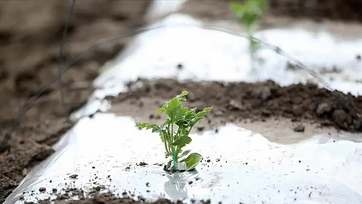 Meteoroloji'den yurdun bazı kesimleri için kar ve zirai don uyarısı