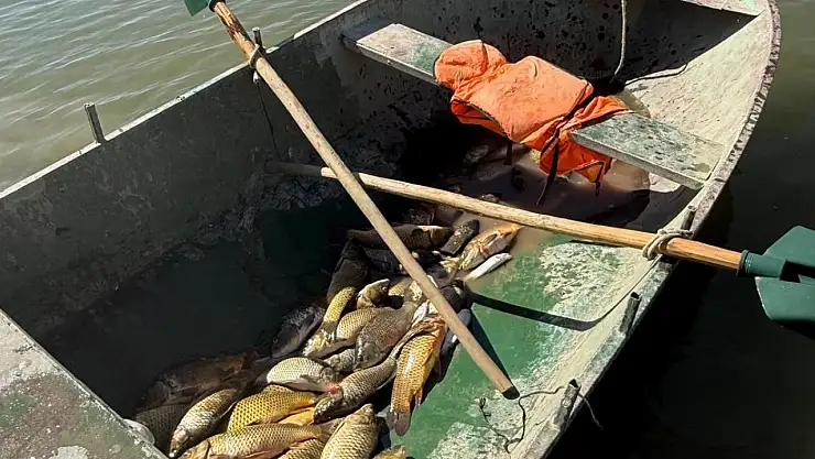 Muradiye'de kaçak balık avına 25 bin TL ceza uygulandı