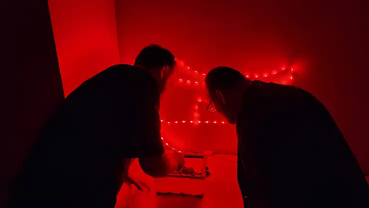 Muş Alparslan Üniversitesi'nden Bombus Arısı ile Sürdürülebilir Tarım Projesi Başlatıldı