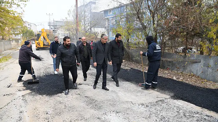 Muş Belediyesi Eşbaşkanı Çalışma Alanlarını Denetledi