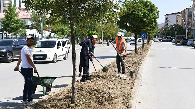 Muş Belediyesi yeşil alan projeleriyle kenti estetik ve sürdürülebilir hale getiriyor