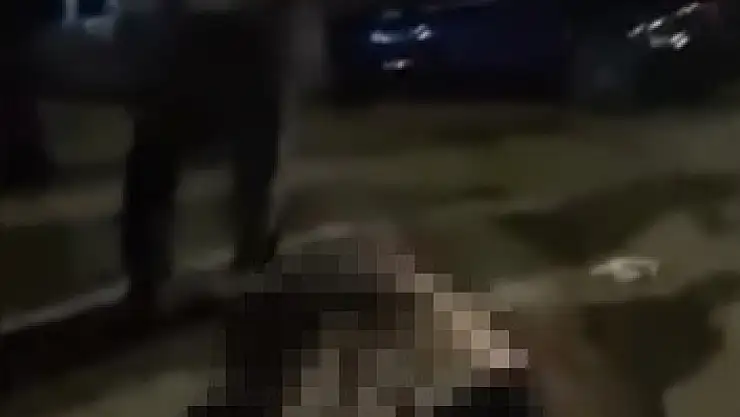 Muş-Bitlis karayolunda yaşlı kadına otomobil çarptı, olay yerinde hayatını kaybetti