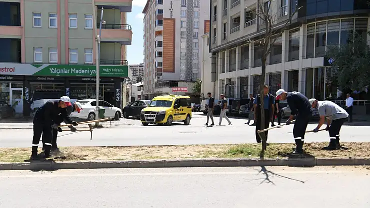 Muş İstasyon Caddesi'nde yeşillendirme projesi, şehrin doğasına katkı sağlıyor