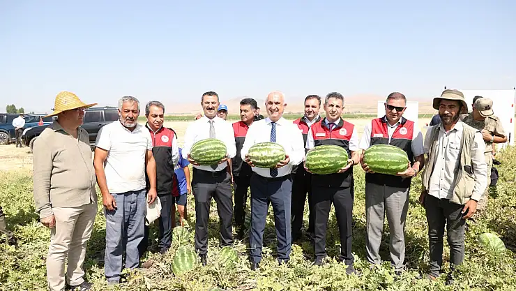 Muş Ovası'nda Karpuz Hasadı Başladı: Bereket Zamanı Çiftçilerle Paylaşıldı