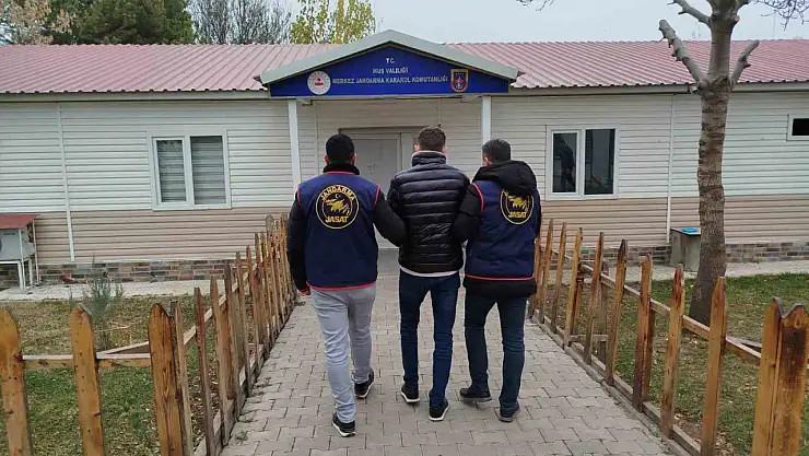 Muş'ta 3 yıl 8 ay cezası bulunan dolandırıcı yakalandı