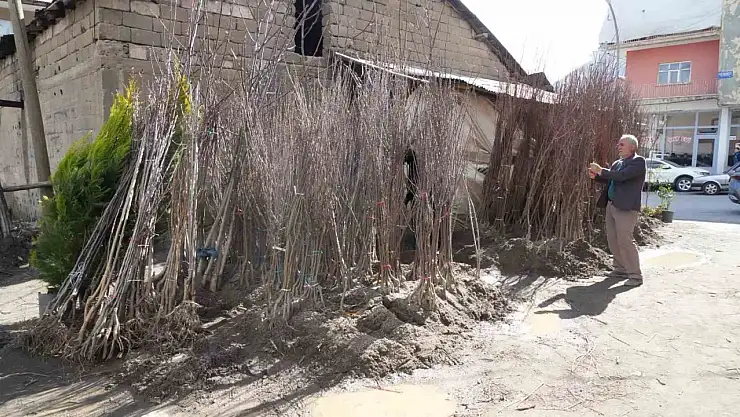 Muş'ta bahar geldi, fidanlar tezgâha indi