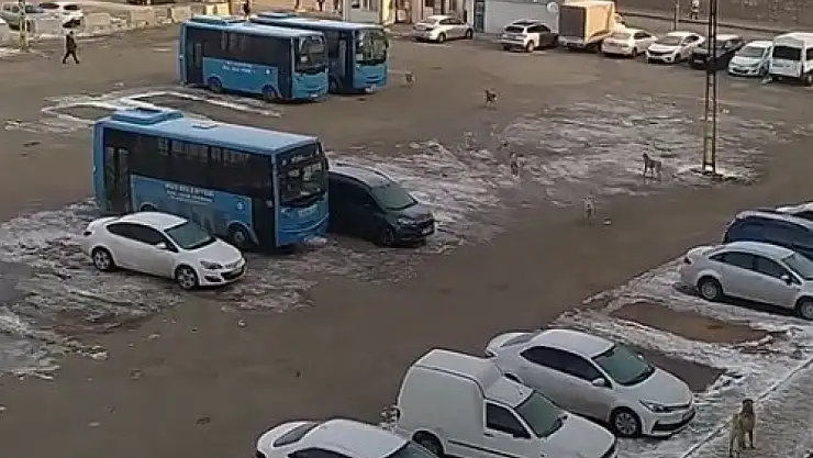 Muş'ta başıboş köpeklerden kaçan çocuk yere düştü