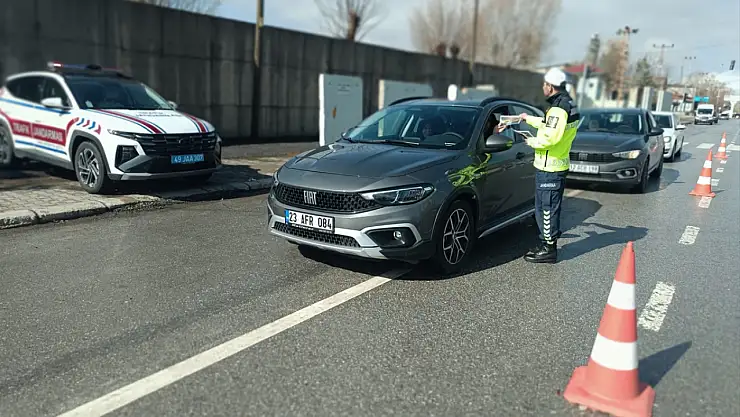 Muş'ta bayram trafiğine jandarma denetimi