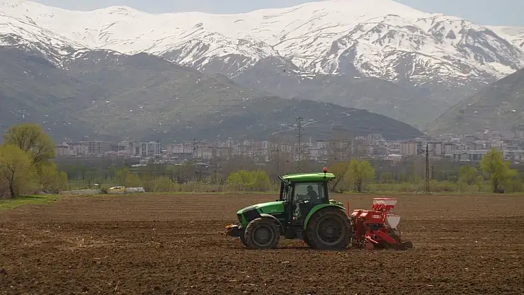 Muş'ta çiftçiler, yağışlar nedeniyle kış ekimlerine 15 gün geç başladı!
