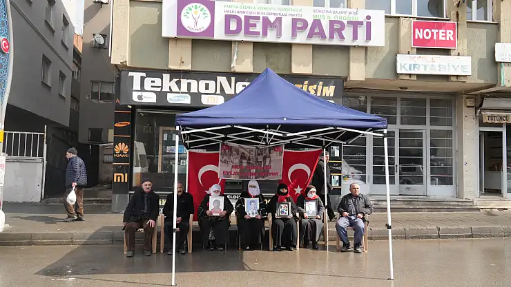 Muş'ta evlat nöbeti kararlılıkla sürüyor