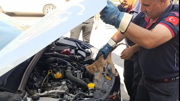 Muş'ta İtfaiye Ekipleri, Yavru Kediyi Kurtararak Duyarlılık Örneği Sergiledi