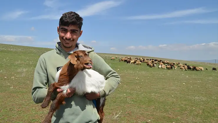 Muş'ta kış bitti, hayvanlar meraya indi