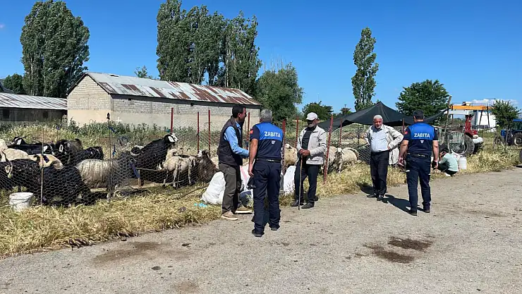 Muş'ta Kurban Bayramı İçin Zabıta Denetimleri Artırıldı, Sağlık Önlemleri Güçlendirildi