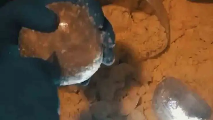 Muş'ta peynir bidonlarından uyuşturucu çıktı
