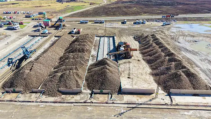 Muş'ta Şeker Pancarı Hasadı Başladı, Ekonomiye 1.7 Milyar TL Katkı Bekleniyor