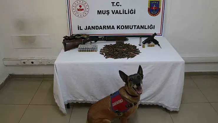 Muş'ta tezek altından silah ve mühimmat ele geçirildi, şüpheli gözaltında