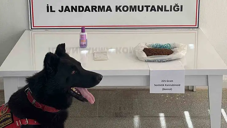 Muş'ta uyuşturucu operasyonunda 225 gram bonzai ve 2 şüpheliyi gözaltına alındı