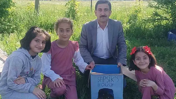 Muş'ta yaralı kartal yavrusu vatandaşların desteğiyle tedaviye alındı