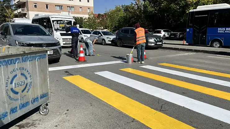 Muş'ta Yaya Güvenliği İçin Yaya Geçitleri Yenileniyor