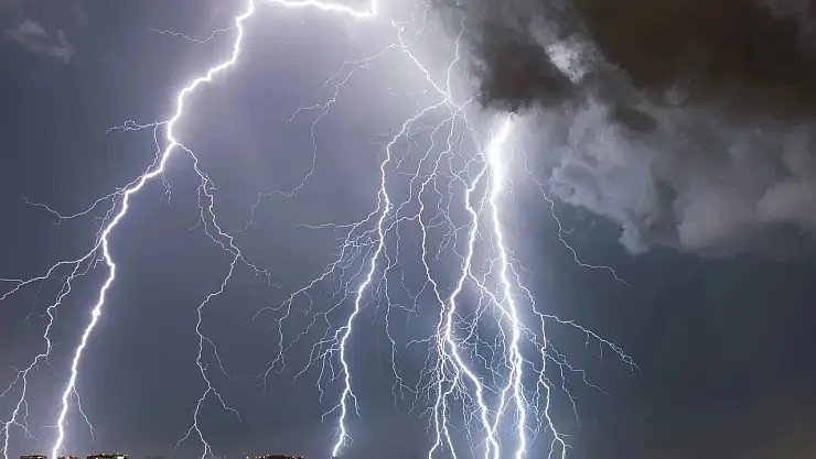 Muş'ta yıldırım can aldı