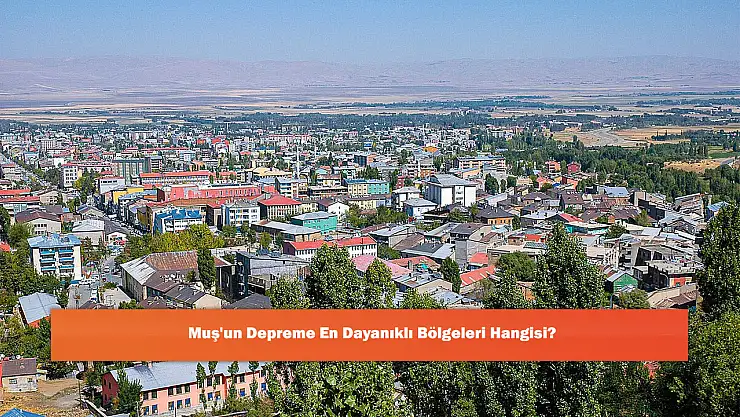 Muş'un Depreme En Dayanıklı Bölgeleri Hangisi?