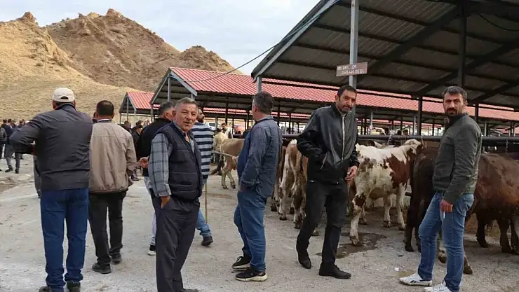 Oltu Canlı Hayvan Pazarı, Şap Hastalığı Sonrası Yeniden Açıldı, Canlılık Geldi