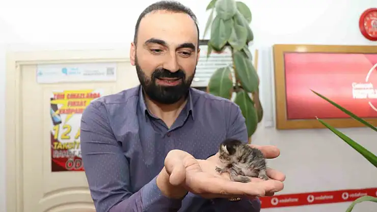 Oltu'da Esnaf, Çekmecede Doğan Kedi Yavrularına Sahip Çıktı!