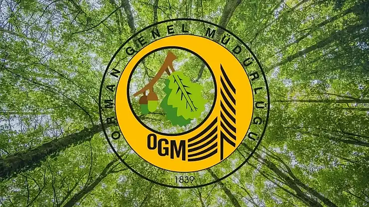 Orman Genel Müdürlüğü 4 bin 500 geçici işçi alacak