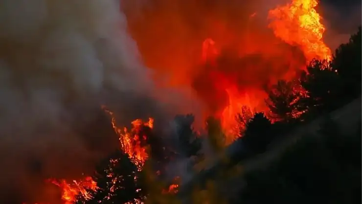 Orman Yangınında Hayatını Kaybeden 24 Kişi Kim, İsimleri Ne?