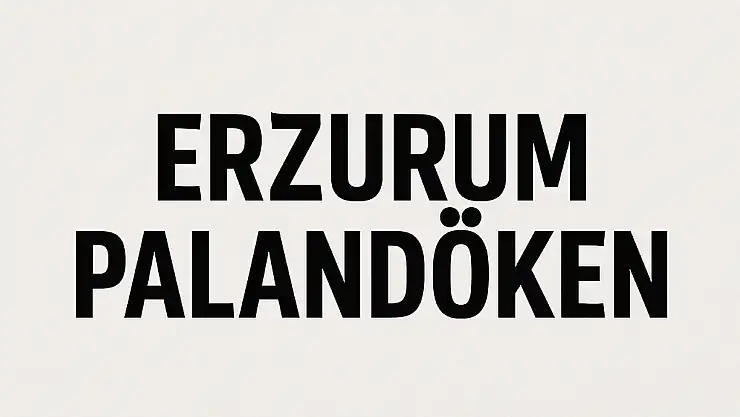 Palandöken Nüfusu – Erzurum'un Yükselen Yerleşim Merkezi ve Mahalle Dağılımı