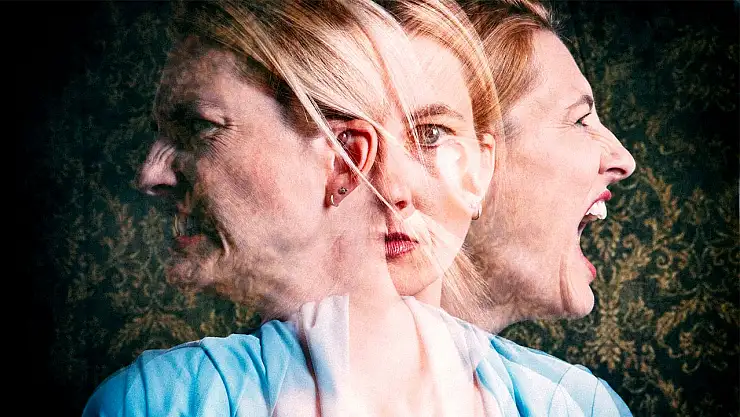 Pasif Agresif Ne Demek?