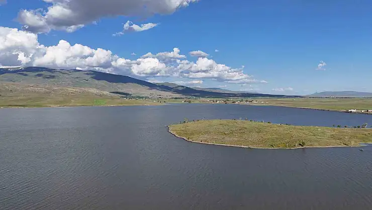 Patnos Barajı'nda balık krizi: Sazanlar yok oluyor